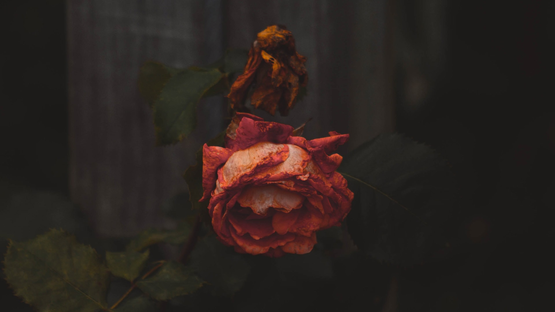  Singapore Bible College