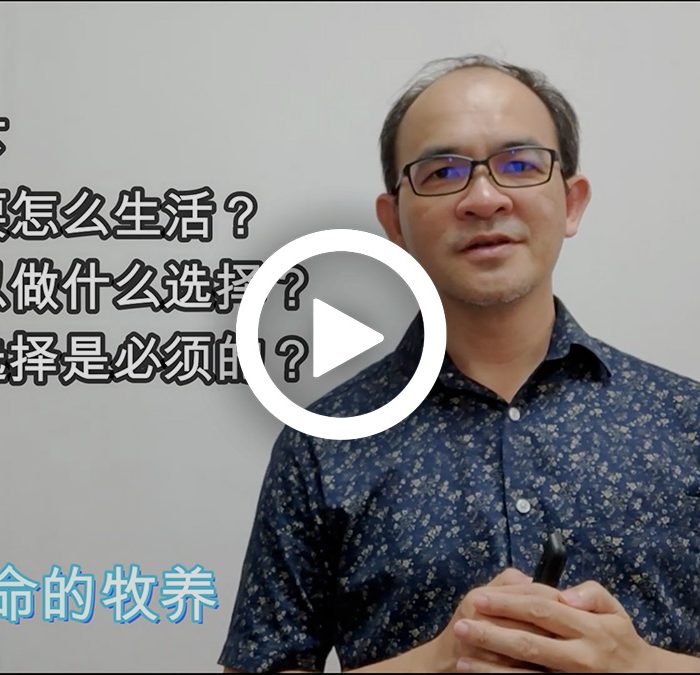 重塑生命的牧养