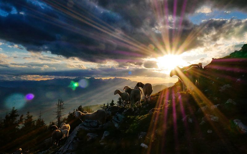 网路牧养多知一点 Singapore Bible College